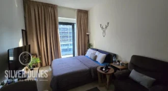 Studio Apartment in Azizi Riviera 28, Meydan One, Dubai