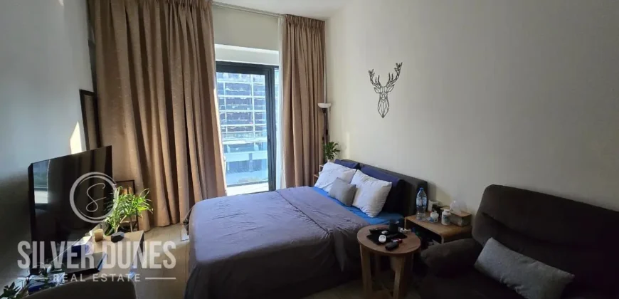 Studio Apartment in Azizi Riviera 28, Meydan One, Dubai